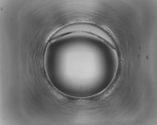 X0000074331081200609152051