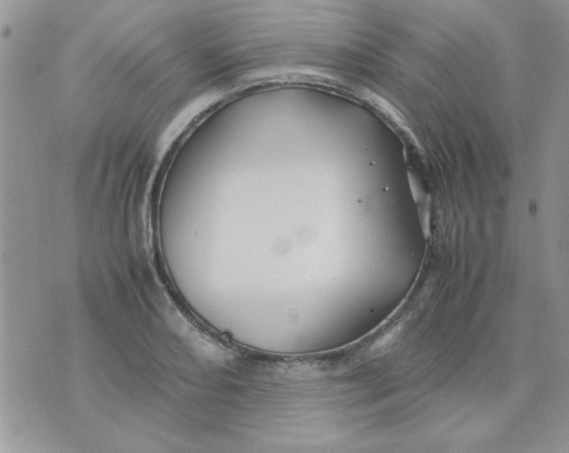 X0000074331082200609152051