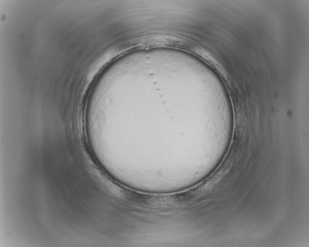 X0000074331083200609152051