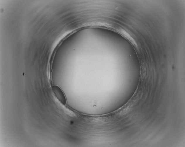 X0000074331084200609152051