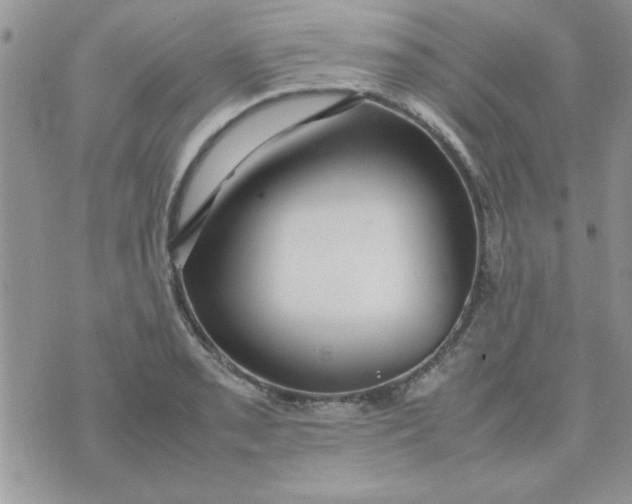 X0000074331085200609152051