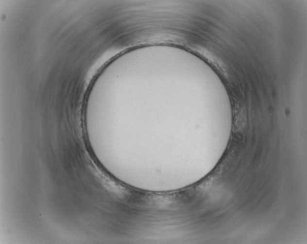 X0000074331086200609152051