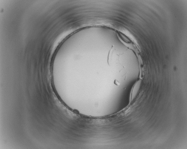 X0000074331088200609152051