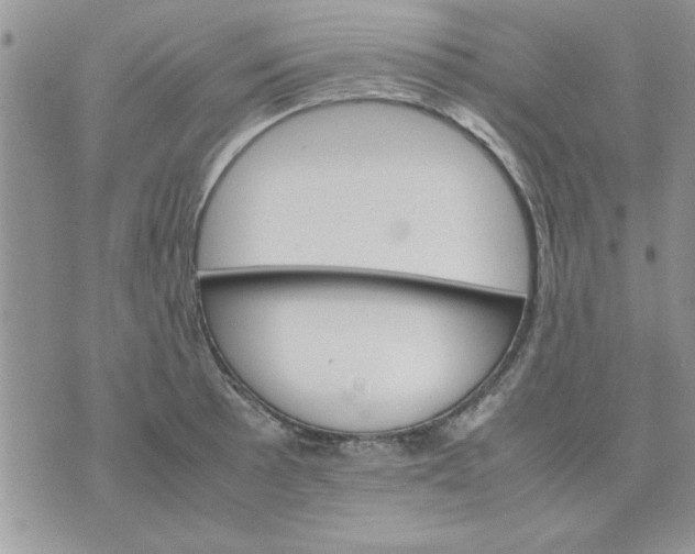 X0000074331089200609152051