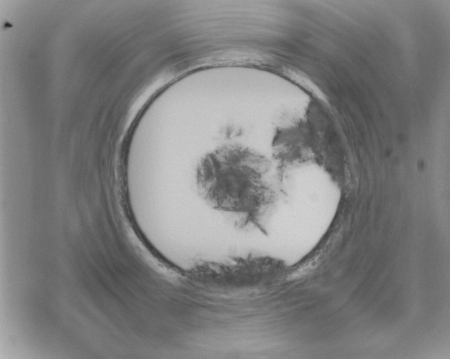 X0000074331091200609152051