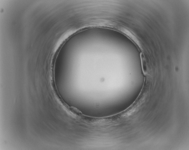 X0000074331093200609152051