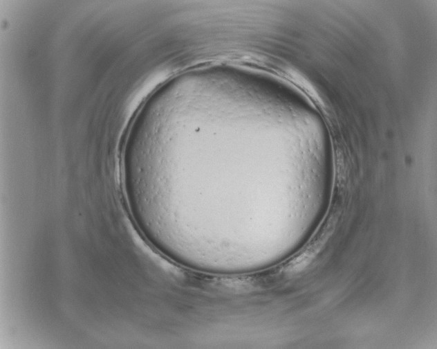 X0000074331095200609152051