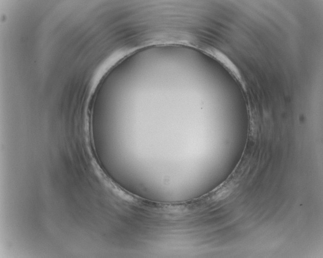 X0000074331096200609152051