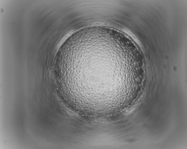 X0000074331097200609152051