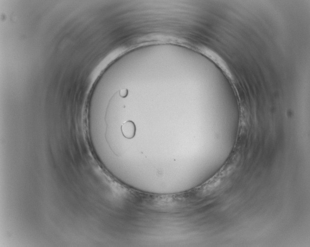 X0000074331098200609152051