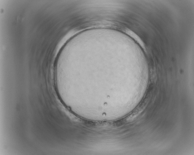 X0000074331099200609152051