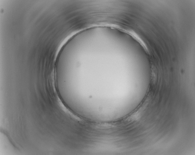 X0000074331100200609152051