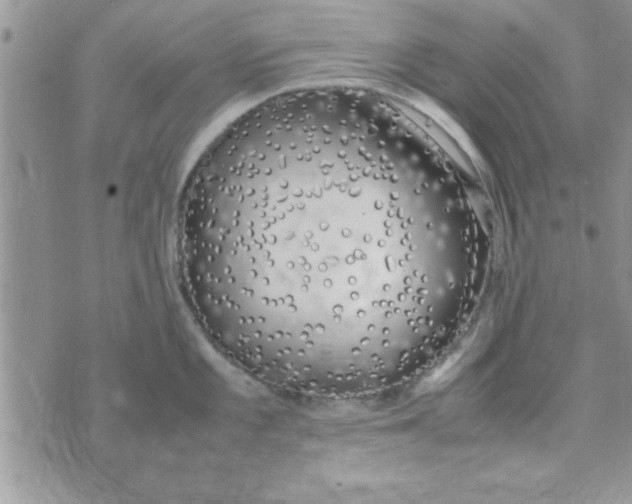 X0000074331101200609152051