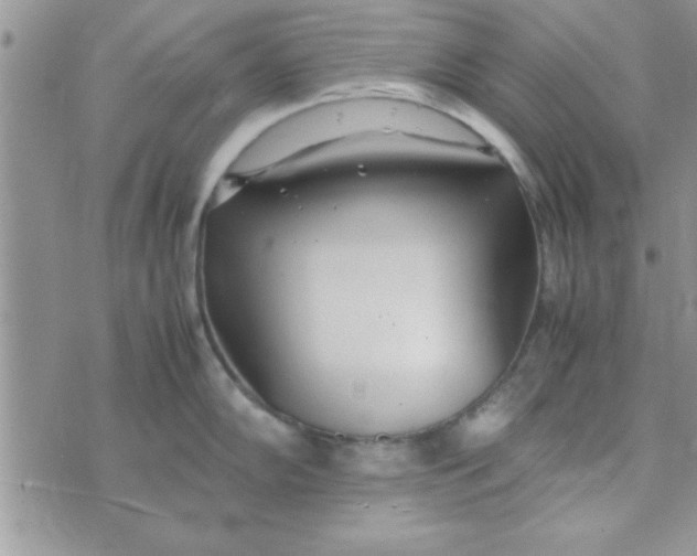 X0000074331102200609152051