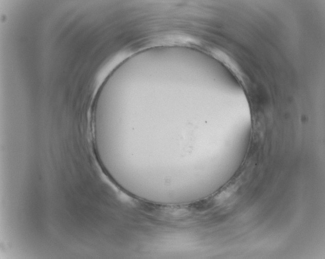 X0000074331103200609152051