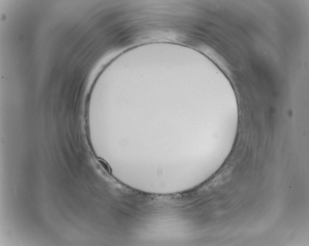 X0000074331104200609152050