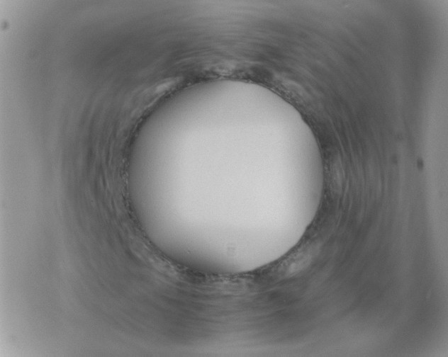 X0000074331105200609152050