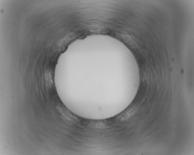 X0000074331106200609152050