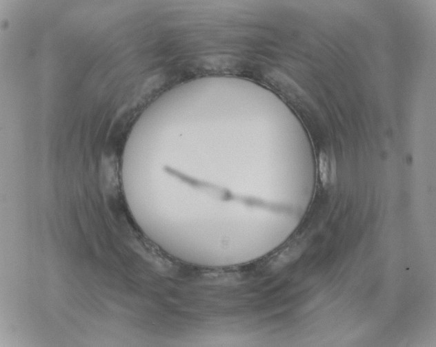 X0000074331107200609152050