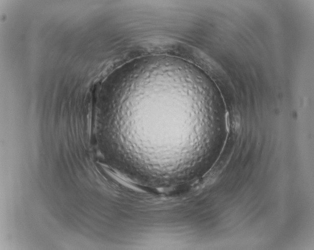 X0000074331108200609152050