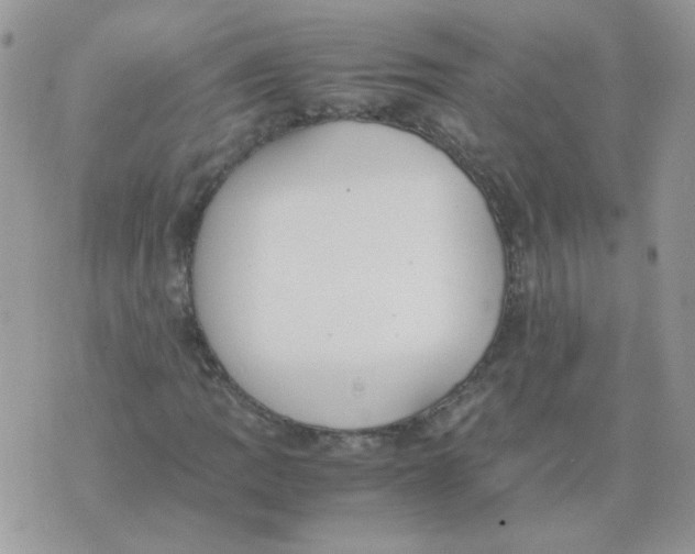 X0000074331109200609152050