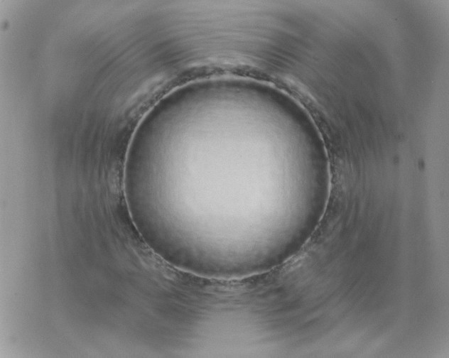 X0000074331110200609152050