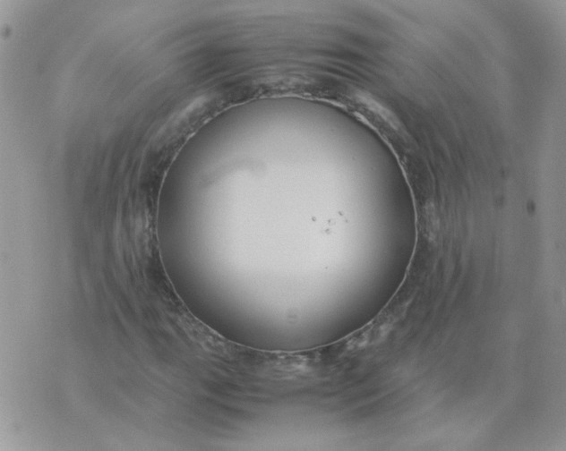 X0000074331111200609152050