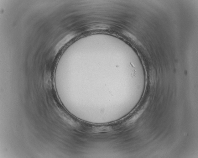 X0000074331113200609152050