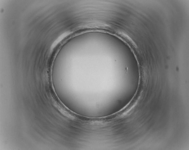 X0000074331114200609152050