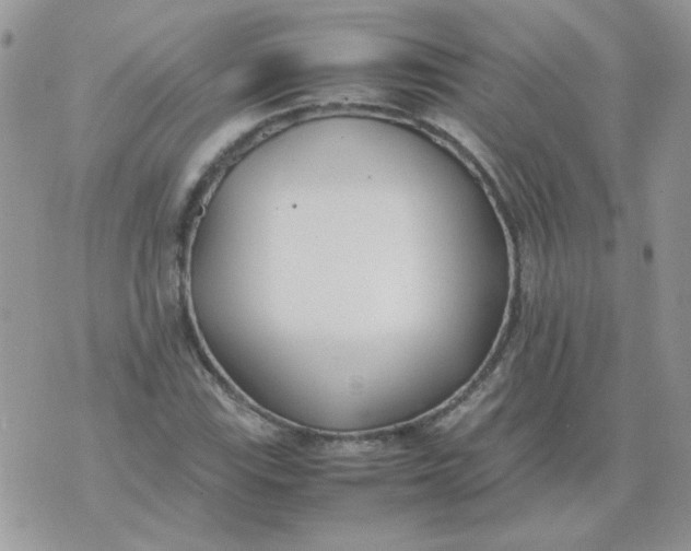 X0000074331115200609152050