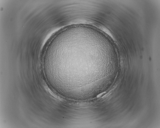 X0000074331116200609152050