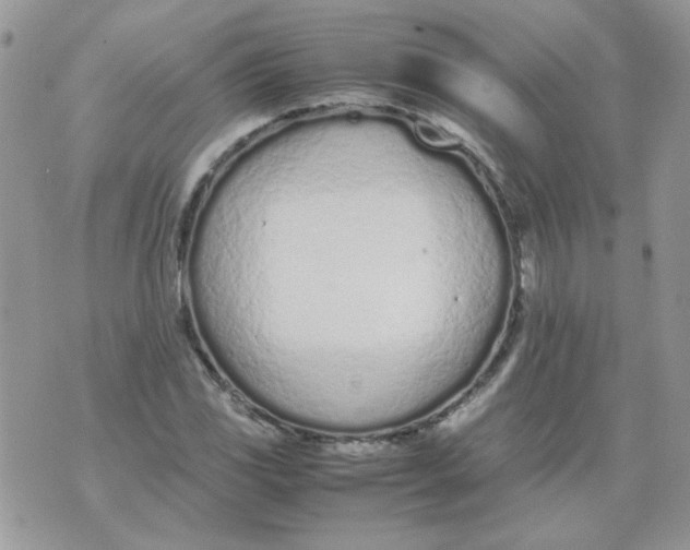 X0000074331117200609152050