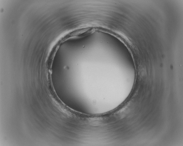 X0000074331118200609152050