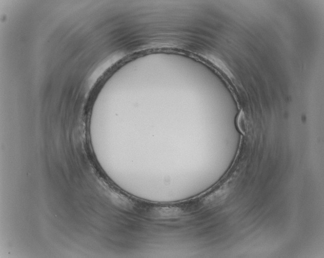 X0000074331119200609152050