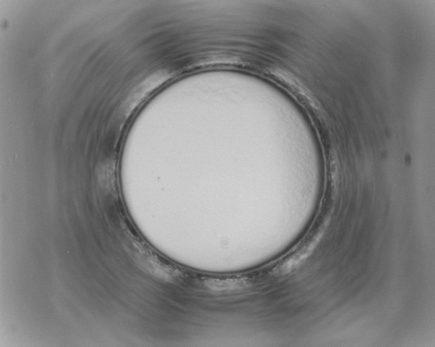 X0000074331121200609152050