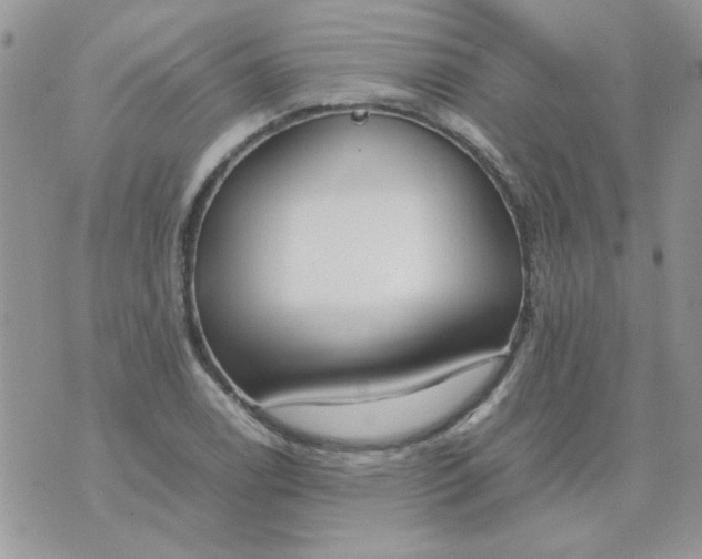 X0000074331122200609152050