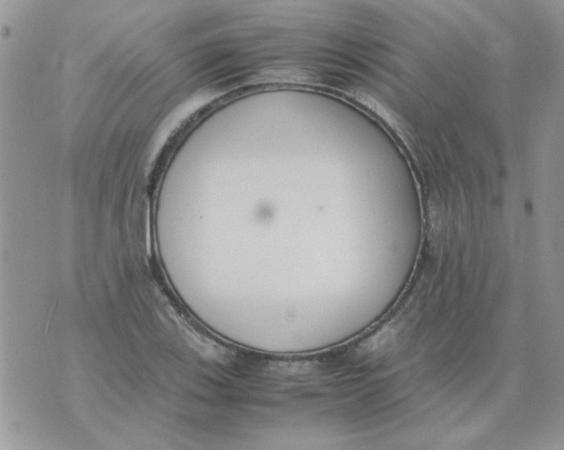 X0000074331123200609152050