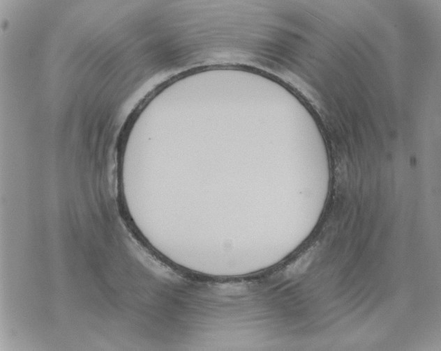 X0000074331126200609152050