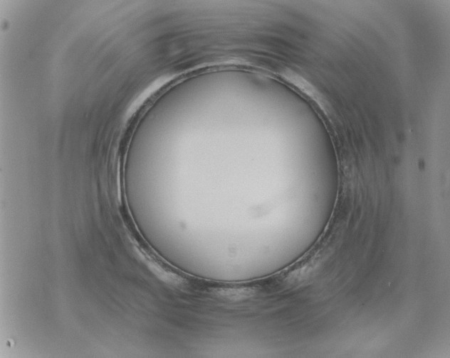 X0000074331127200609152050