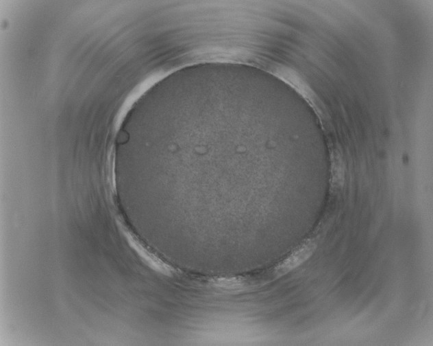 X0000074331128200609152050