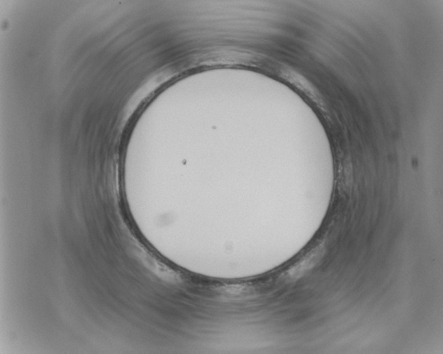 X0000074331130200609152050