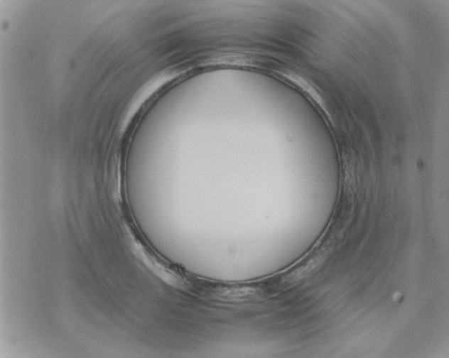 X0000074331131200609152050