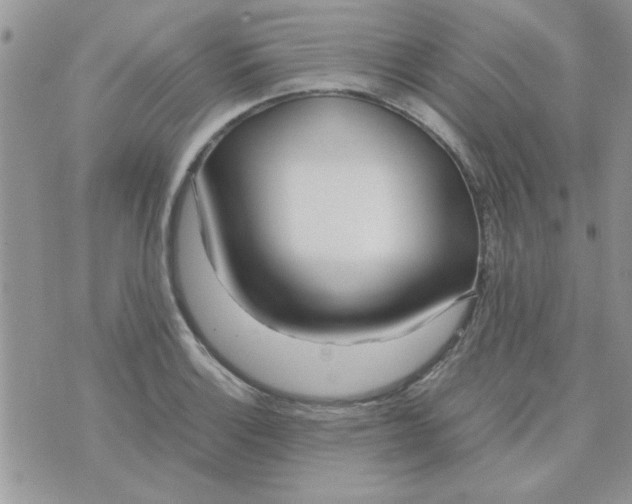 X0000074331132200609152050