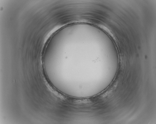 X0000074331133200609152050