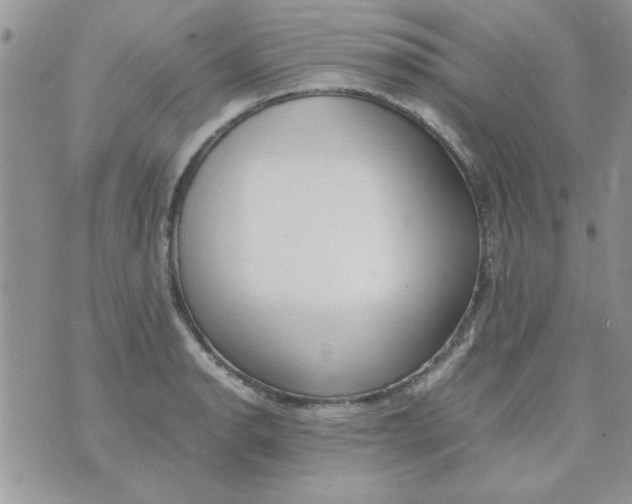 X0000074331134200609152050