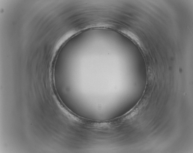 X0000074331135200609152050