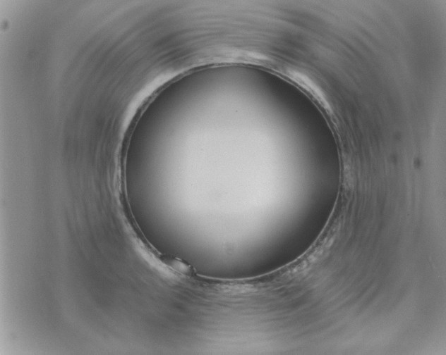 X0000074331136200609152050