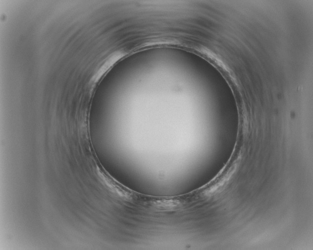 X0000074331137200609152050