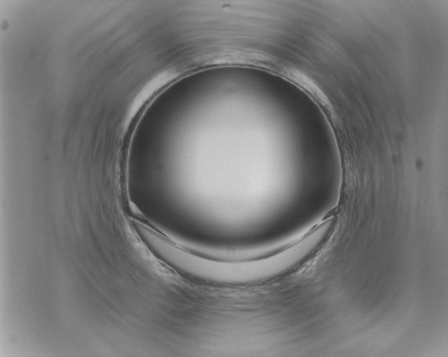 X0000074331138200609152050