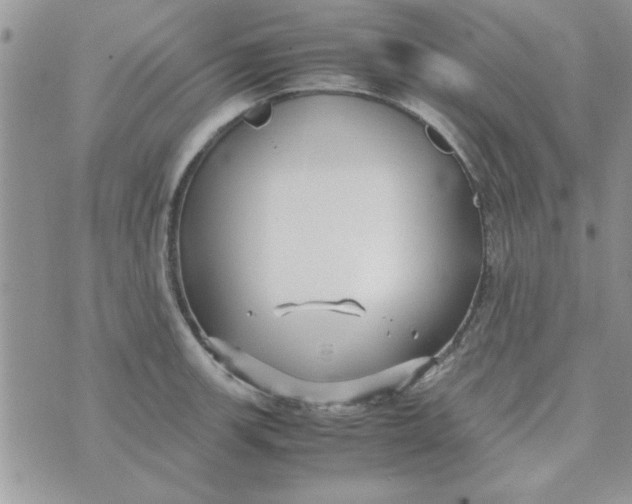 X0000074331139200609152050